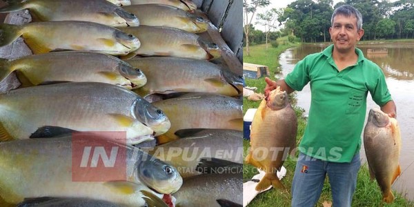 PESCADORES DE NUEVA ALBORADA COSECHAN PECES CON APOYO DE YACYRETÁ