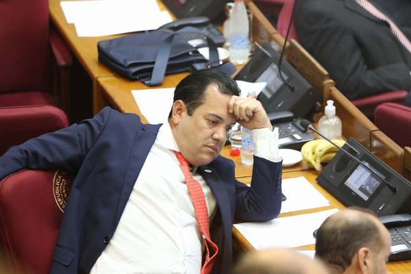 ¿Quién fue el genio que aconsejó a Abdo ubicar a Friedmann frente al MAG?