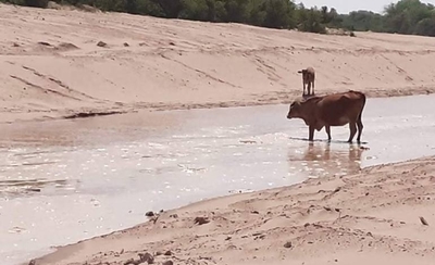 HOY / Pilcomayo: el 30% de las aguas ya ingresan por el nuevo canal