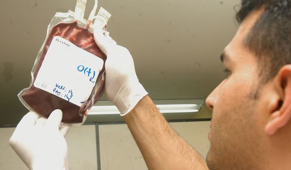 Incentivan a donar sangre y médula - Nacionales - ABC Color