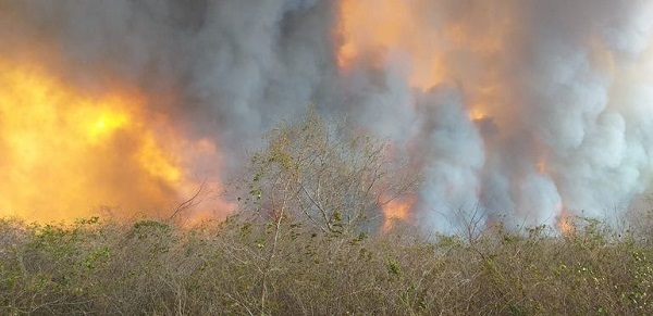 Incendios se descontrola en cercanías del Chovoreca