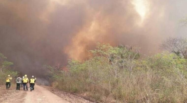 HOY / Con regreso del calor y el viento norte, se reavivan focos de incendio en el Chaco