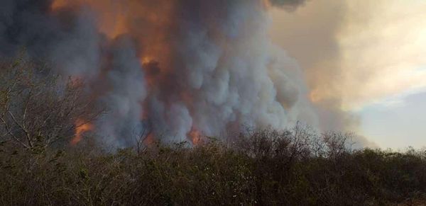 Se reaviva el fuego en el Chaco y focos de incendio ascienden a 168