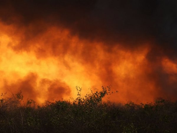 Incontrolable fuego hace correr a pobladores de zona del Chovoreca