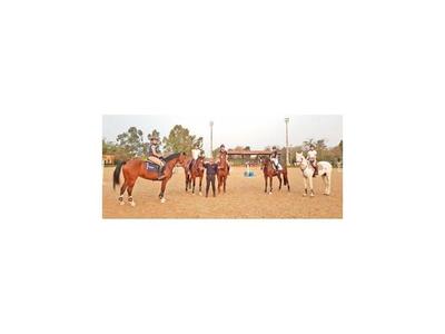 El CHP viste de gala con el FEI Jumping