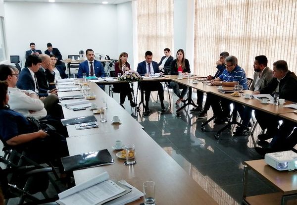 Fundación y centrales dan apoya al MTESS - Locales - ABC Color