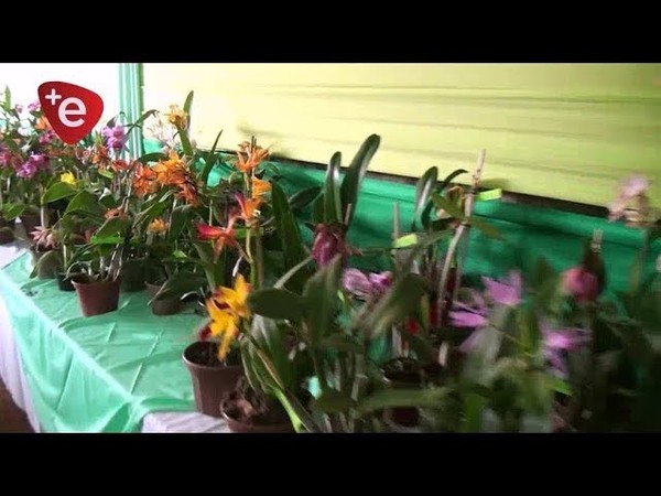 3RA. EXPO ORQUÍDEAS Y FLORES EN NUEVA ALBORADA