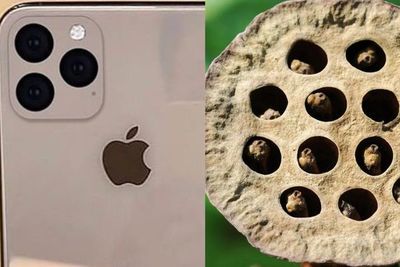 Tripofobia: el miedo irracional que provoca el nuevo diseño de iPhone 11