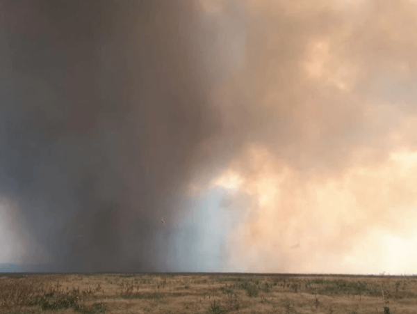 Negro panorama en el Chaco: incendios y deforestación arrasan miles de hectáreas de bosques