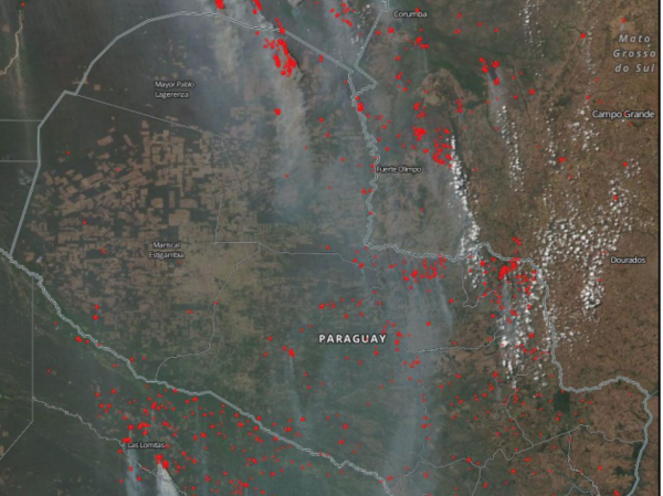 HOY / Incendios forestales "fácilmente" podrían afectar 150.000 hectáreas, advierte Infona