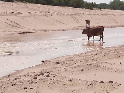 El 30% de las aguas del Pilcomayo ingresan por el nuevo canal Meyer, sostienen » Ñanduti
