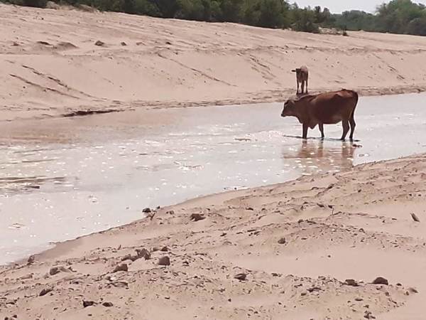 El 30% de las aguas del Pilcomayo ingresan por el nuevo canal Meyer, sostienen » Ñanduti