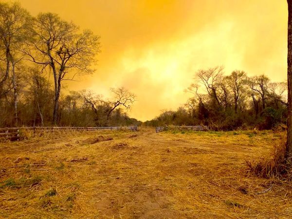 Área consumida por llamas alcanza las 120 mil hectáreas, según Infona