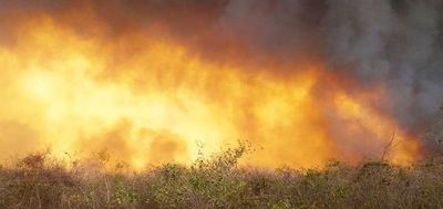 Fuego incontrolable en el pantanal paraguayo - Digital Misiones