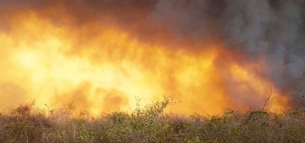 Fuego incontrolable en el pantanal paraguayo - Digital Misiones