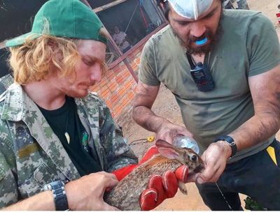 Red de ayuda busca recolectar insumos para el Chaco
