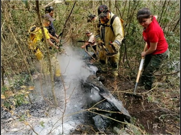 MÁS DE 120.000 HECTÁREAS AFECTADAS POR INCENDIOS FORESTALES EN EL CHACO