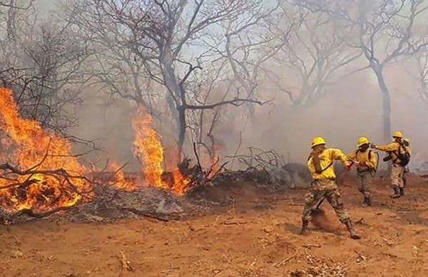 Para la SEN no amerita declarar emergencia nacional por incendio en el Chaco