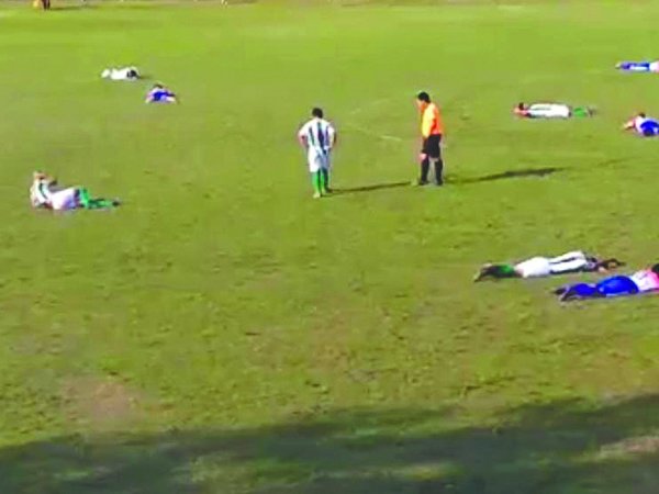 Abejas causaron susto en un juego en Itapúa
