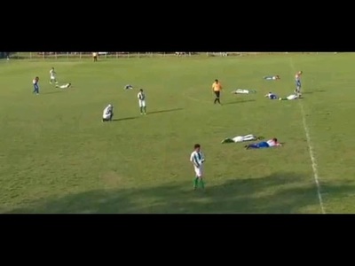INSÓLITO: ATAQUE DE AVISPAS INTERRUMPIÓ PARTIDO EN SAN PEDRO DEL PARANÁ