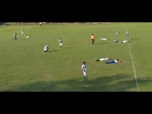 INSÓLITO: ATAQUE DE AVISPAS INTERRUMPIÓ PARTIDO EN SAN PEDRO DEL PARANÁ