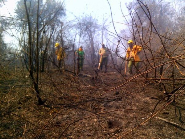 Aprueban donación de US$ 100.000 para enfrentar incendios forestales en el país - ADN Paraguayo