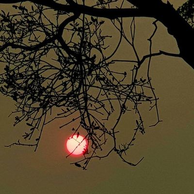Índice de contaminación es el doble de lo recomendado - Nacionales - ABC Color