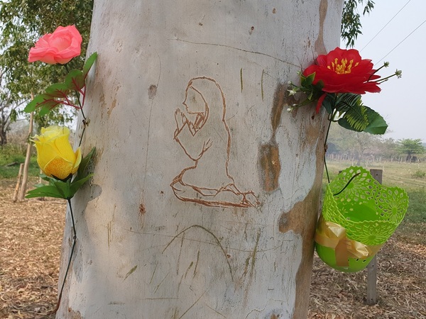 Figura de la Virgen en un árbol conmociona a una población rural de Loreto