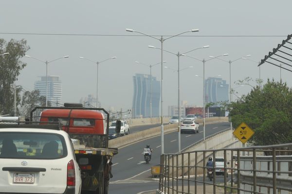 Salud alerta sobre riesgo de hantavirus a raíz de los incendios