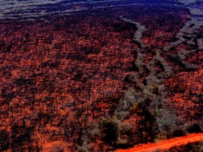 El fuego también llega con toda furia al Norte
