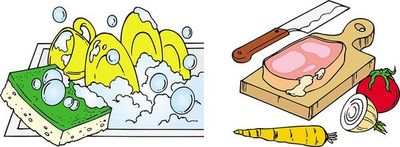 ¿Dónde están los microorganismos? - Escolar - ABC Color