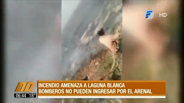 Fuego consume más de 200 hectáreas en paraíso natural