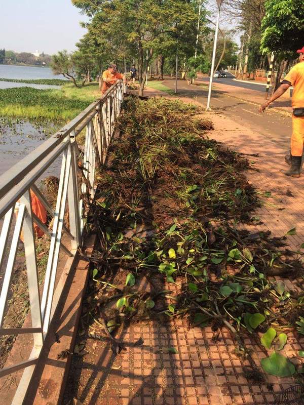 Basura sigue llegando al Lago a través del arroyo Amambay