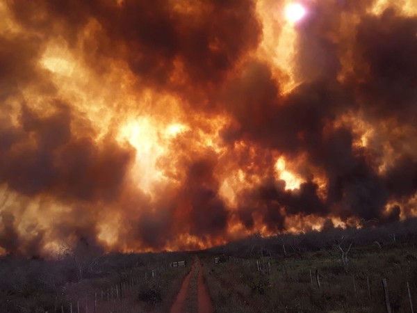 El impacto de la nube tóxica en la salud