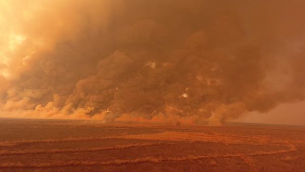 Incendios forestales afectan 120.000 hectáreas en el Chaco