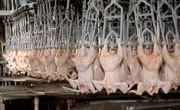 Sector avícola pide redoblar la lucha anticontrabando
