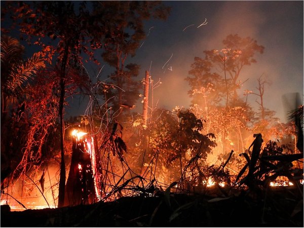 Redes mafiosas usan violencia para deforestar y quemar la Amazonía