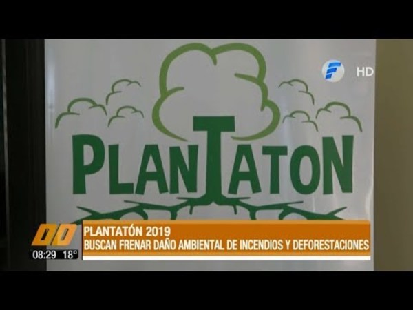 Plantatón 2019: Buscan frenar daño ambiental de incendios y deforestaciones
