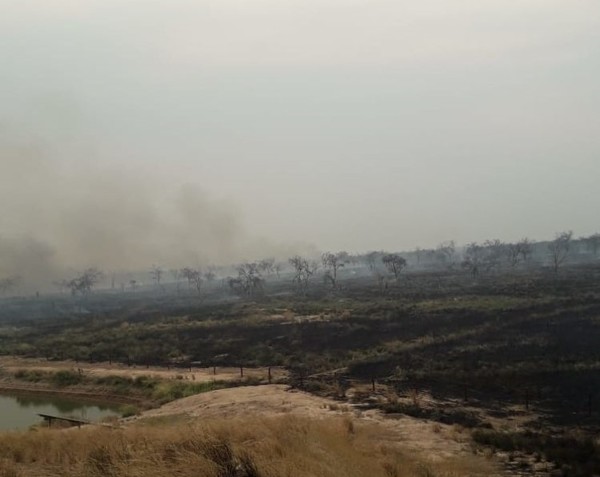 A pesar de esfuerzo con aviones estancia fue consumida por incendio