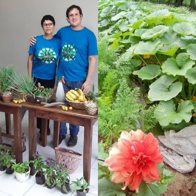 En un rincón verde, agricultores urbanos conectan con la naturaleza - Periodismo Joven - ABC Color