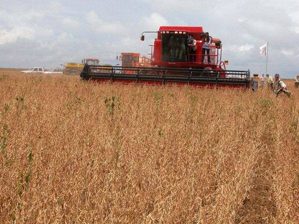 Agroindustriales no se oponen al ingreso en el mercado chino