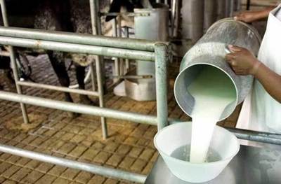 COOPERATIVISTAS PIDEN ACELERAR «RUTA DE LA LECHE» PARA DINAMIZAR PRODUCCIÓN EN EL CHACO