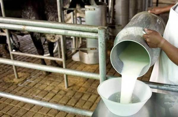 COOPERATIVISTAS PIDEN ACELERAR «RUTA DE LA LECHE» PARA DINAMIZAR PRODUCCIÓN EN EL CHACO
