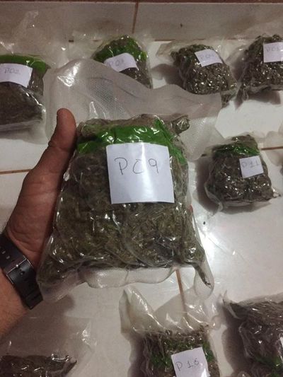 Cae “Cheto”: vendía marihuana envasada al vacío
