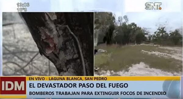 Bomberos logran controlar incendios en paraíso natural del norte