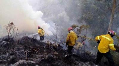 Ecuador también es arrasado por incendios forestales » Ñanduti