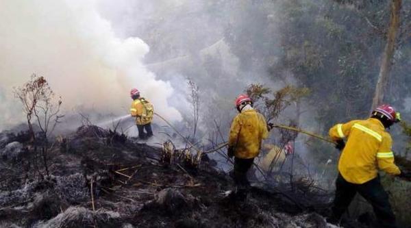 Ecuador también es arrasado por incendios forestales » Ñanduti