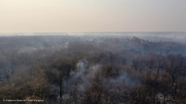 Activan alerta epidemiológica por incendios forestales - ADN Paraguayo