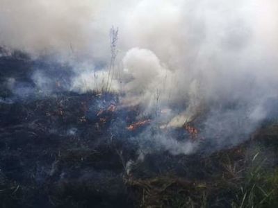 Coordinador de la SEN sobre crisis por incendios forestales: “No está fuera de control” - Nacionales - ABC Color