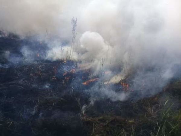 Coordinador de la SEN sobre crisis por incendios forestales: “No está fuera de control” - Nacionales - ABC Color